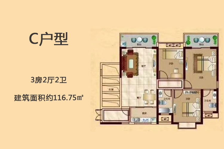 金地华府C户型-3房2厅2卫-建面约116.75㎡