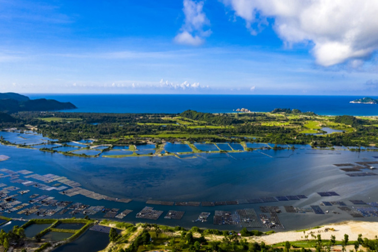 恒大双海湾实景