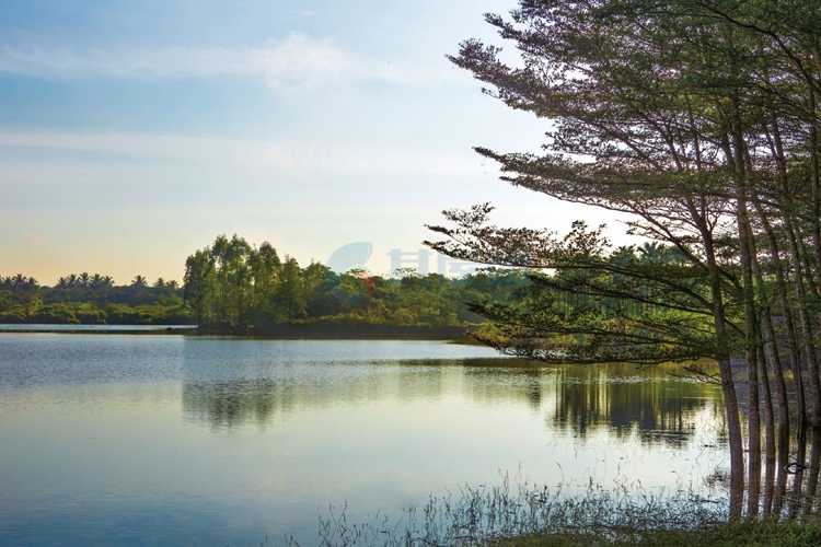 项目湖景