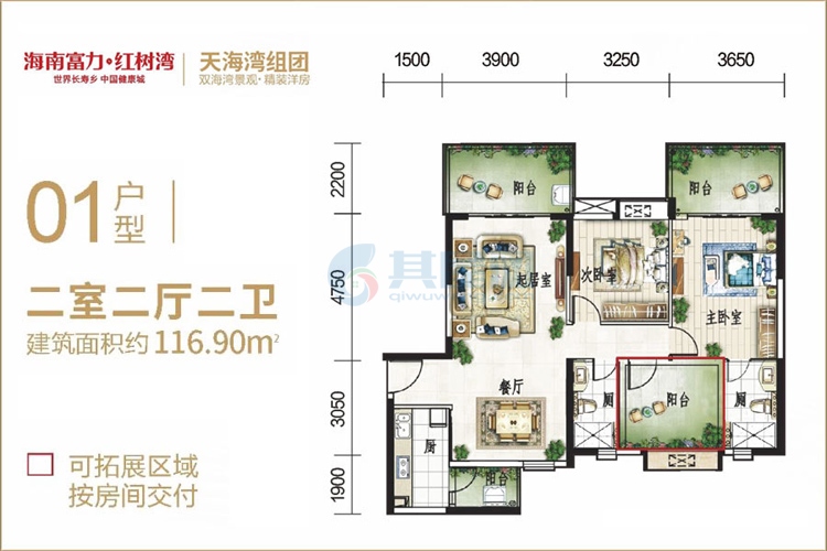 01户型-建面约116.90㎡-两房两厅两卫