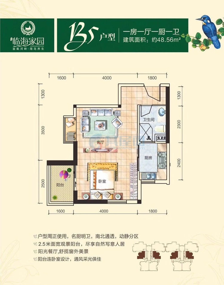 B5户型-建面约48.56㎡-一房一厅一厨一卫