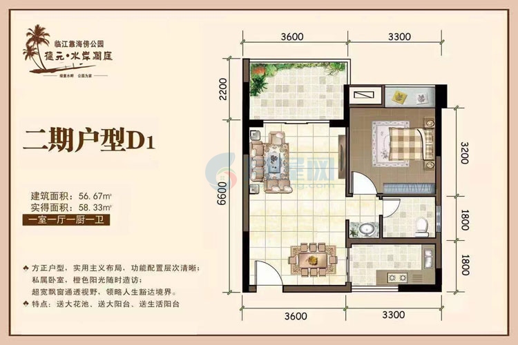 二期D1户型-建面约56.67㎡-一房一厅一厨一卫（赠送约10㎡）