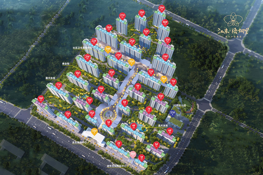 海口江东梧桐里鸟瞰图.jpg